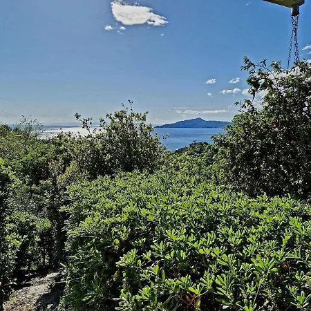 Apartment A Refuge In The Infinite Sea *