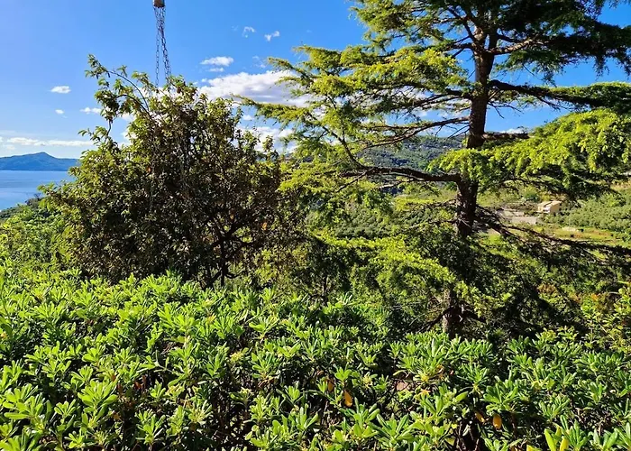 A Refuge In The Infinite Sea Appartement *