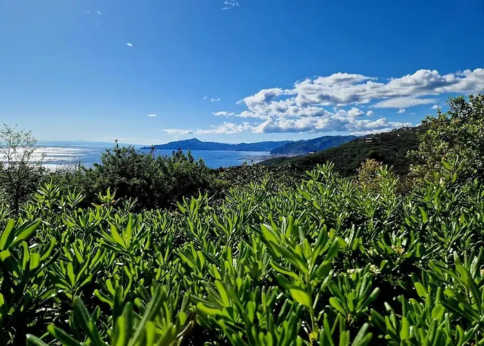 A Refuge In The Infinite Sea * Cavi di Lavagna