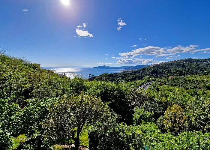 A Refuge In The Infinite Sea